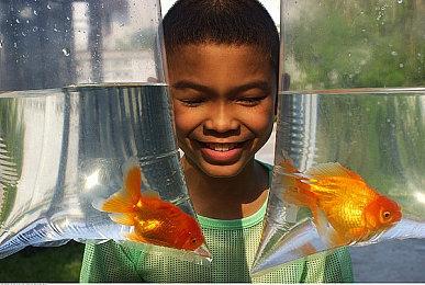 月底即可提前体验 《皮克敏4》免费试玩版情报公布